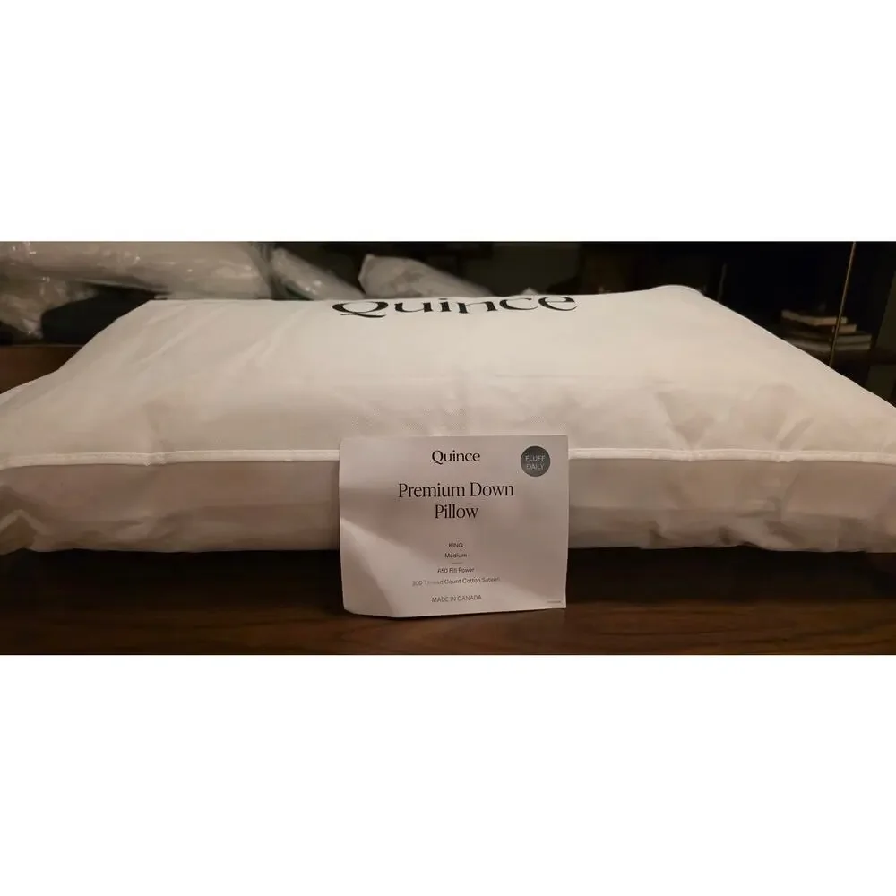 Quince Premium King Down Medium Pillow - NEW